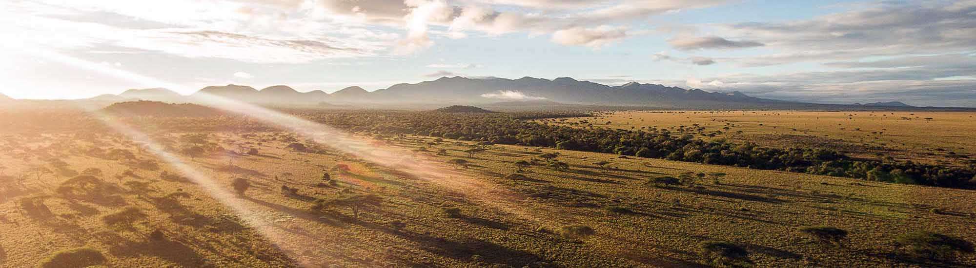 Habitat Protection