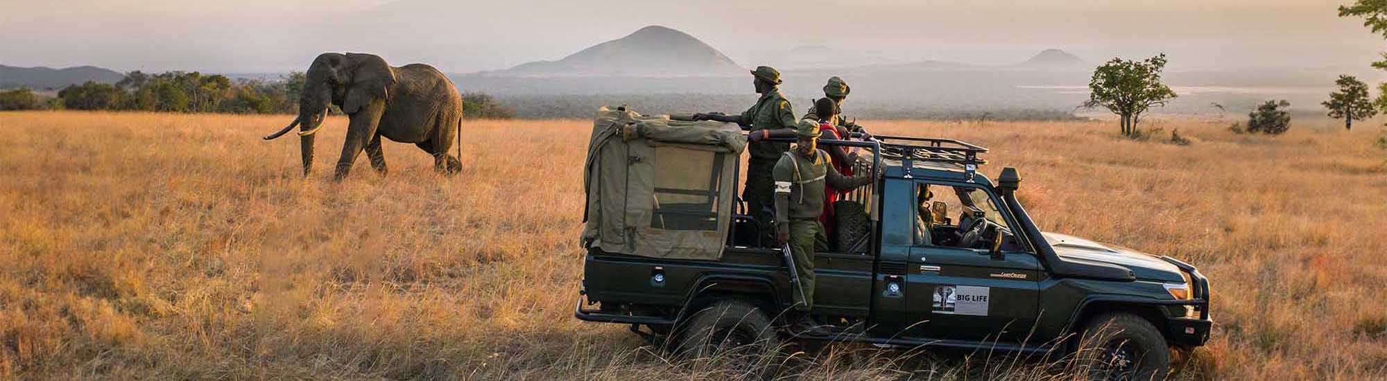 Anti Poaching