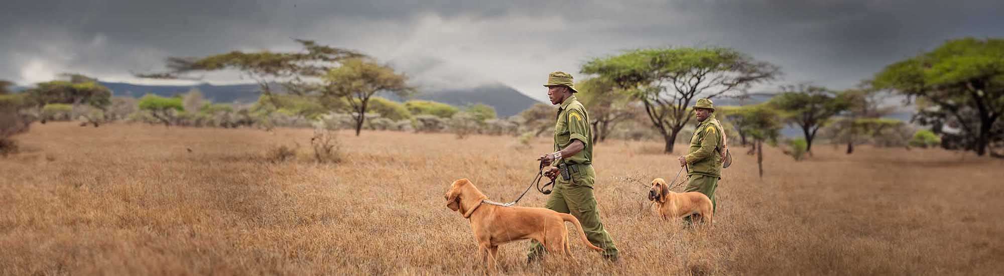 Tracker Dogs