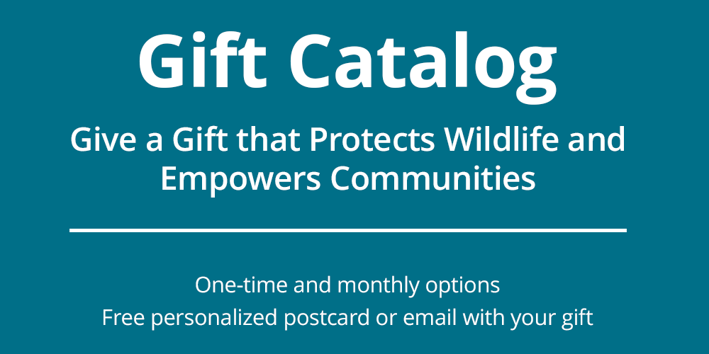 Gift Catalog