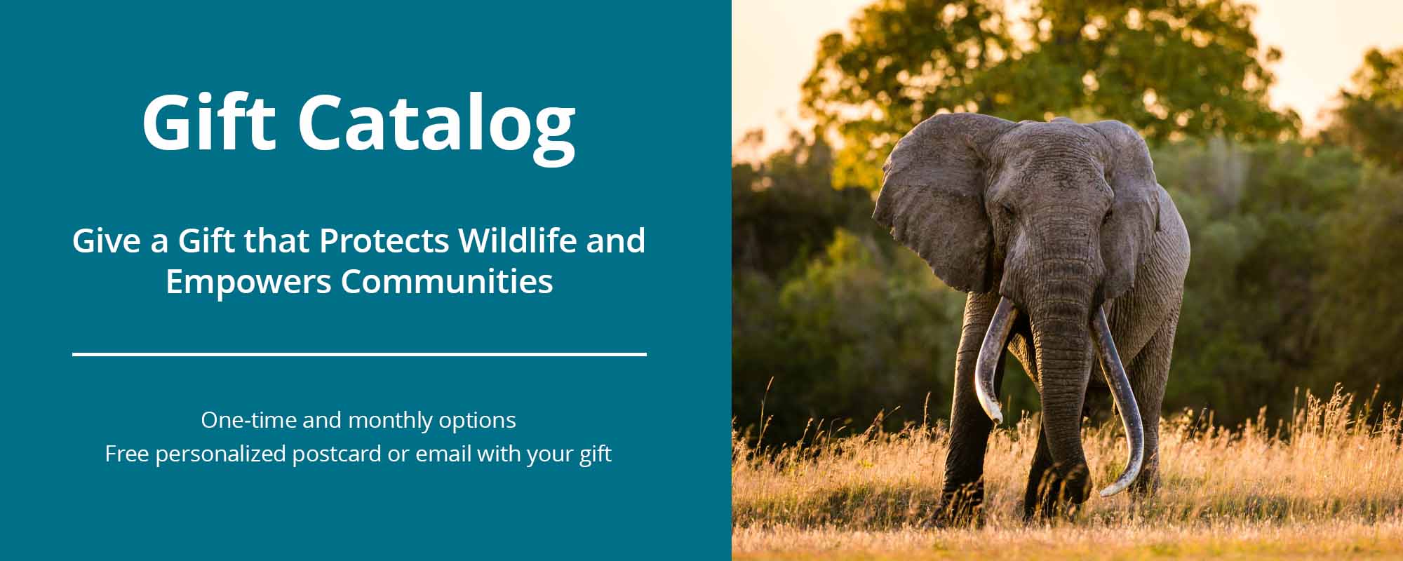Gift Catalog