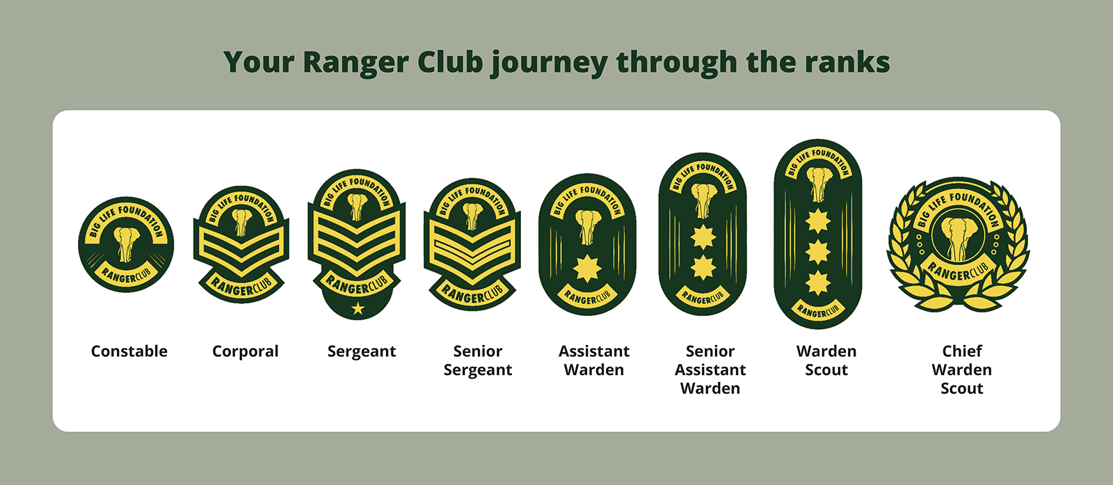 Ranger Club Levels