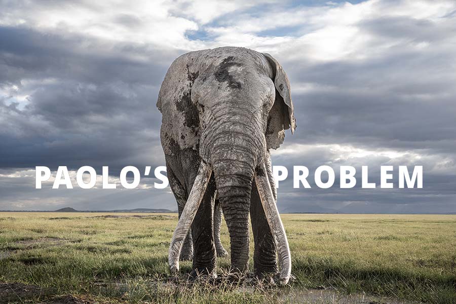 Big Life Foundation - Paolo's Problem
