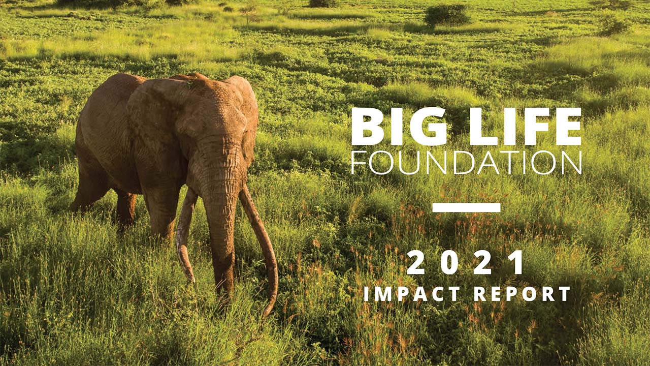 Big Life Foundation's 2021 Impact Report