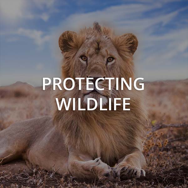 Protecting Wildlife