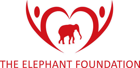 Logo-The Elephant Foundation
