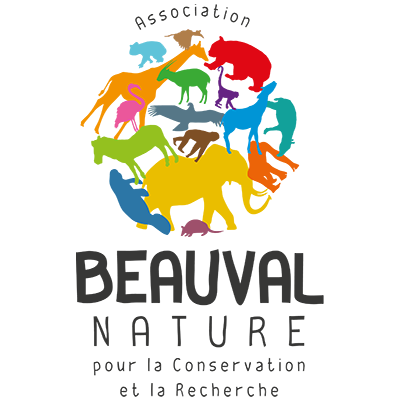 Logo-Beauval Nature (Zoo Beauval)
