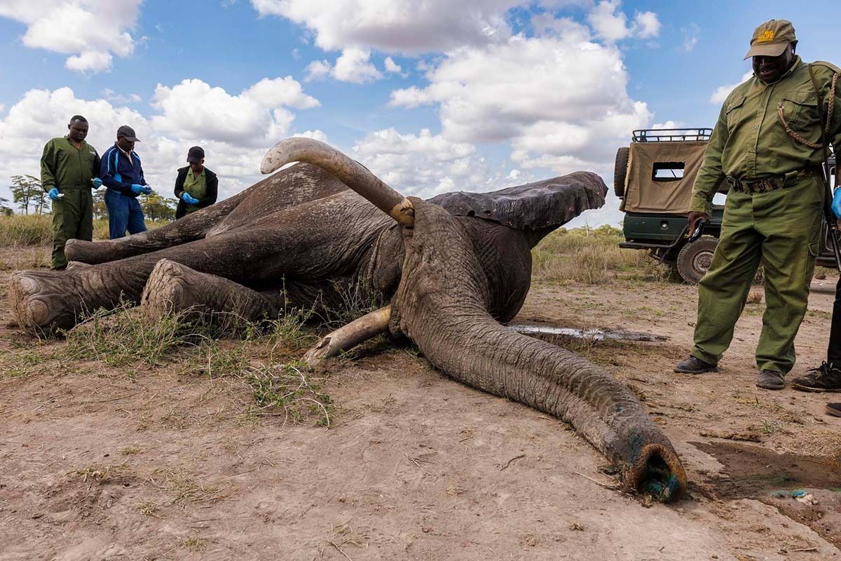 260120 jay supeyo angama js