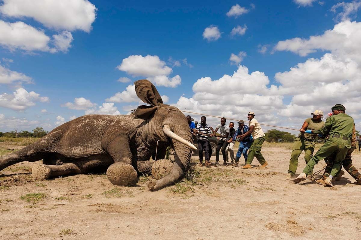 260120 jay supeyo angama js