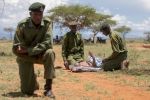 240503 newly trained big life foundation rangers simulate a first aid drill they learned at the amboseli ranger academy for the crowd at the nairrabala conservancy opening ceremony  joshua cla 