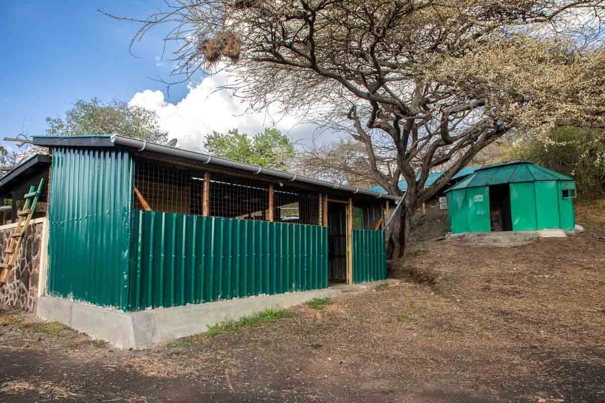 260330 joshua clayx3a8132