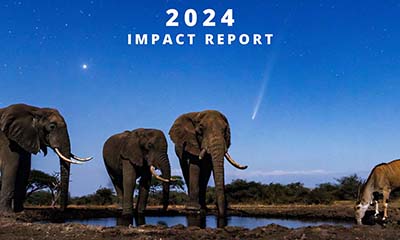 Operational Reports