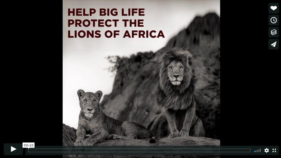 Big Life Predator Compensation Fund Film