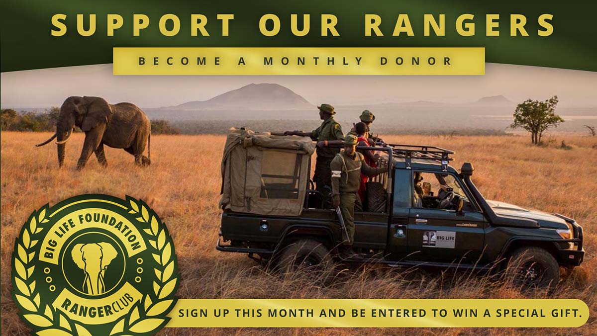Support Our Rangers