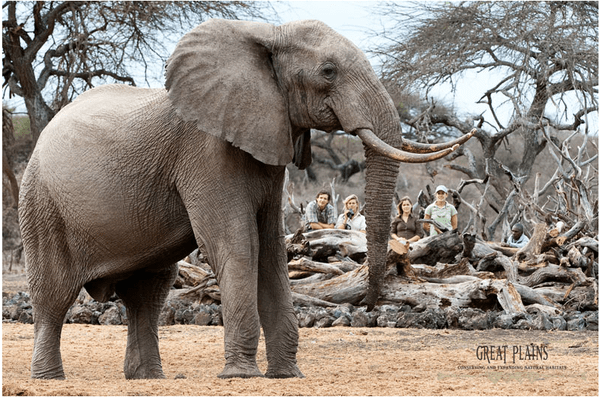140528 1 1 Kenyan Bombs and Conservation Shock Waves