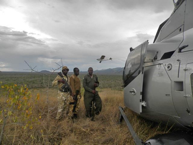 130312 1 3 Urgent Search for Rhino Caught in Poachers Snare