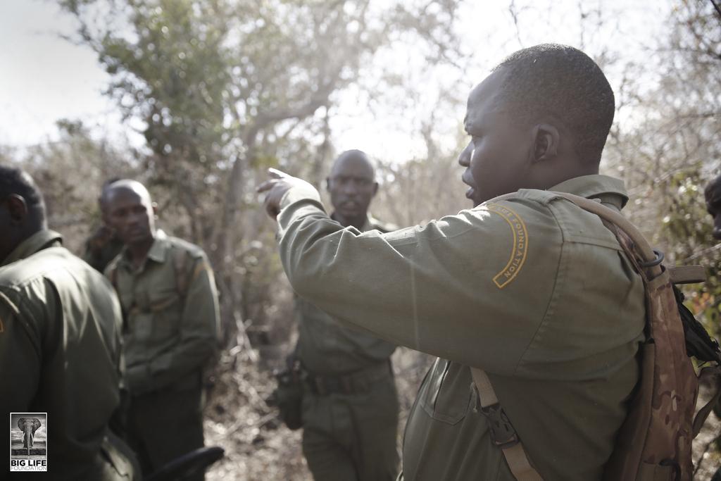 150918 1 1 Rangers Continue Search for Bahati the Snared Rhino Calf Day Three