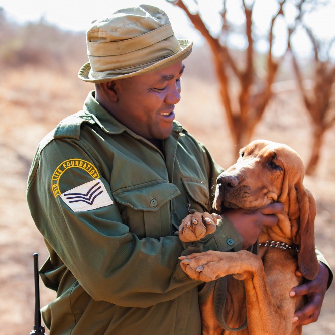 200210 Sgt Mutinda wins a Disney conservation award