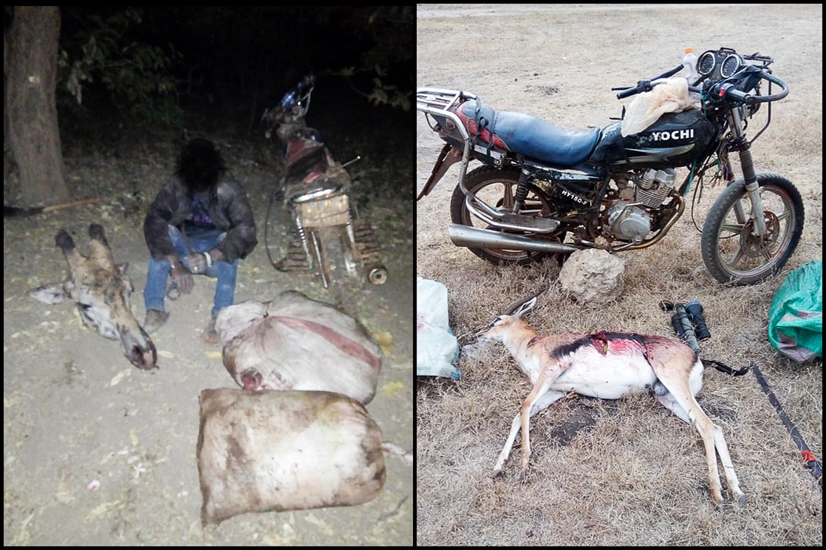 201027 multiple poachers caught in big lifes area of operation