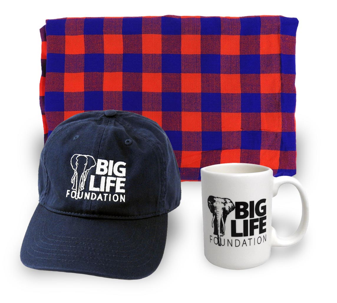 201119 big life merchandise