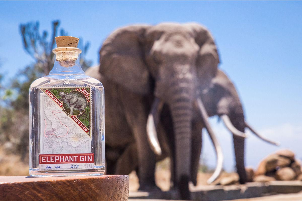201119 elephant gin