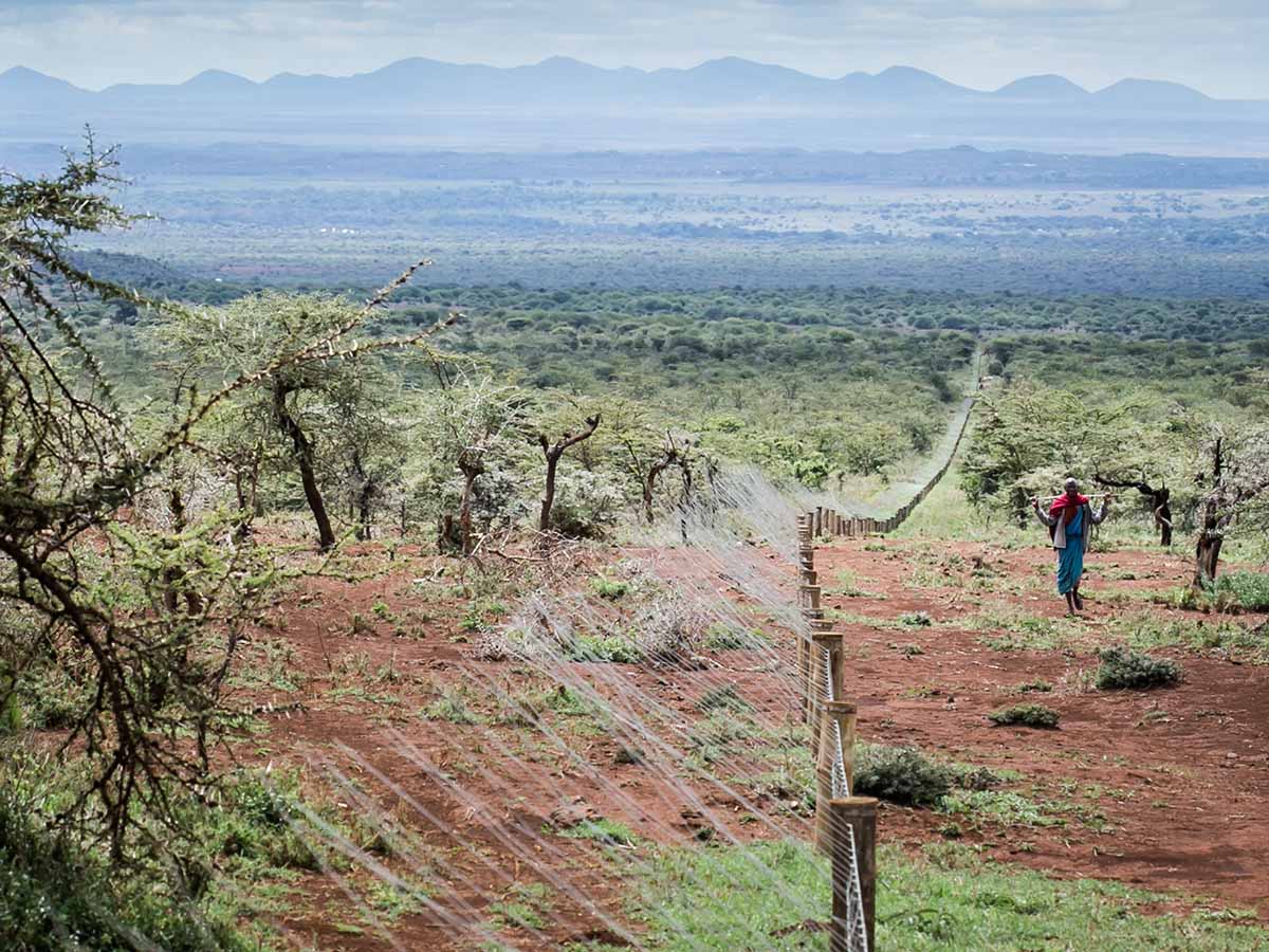 Big Life Foundation - THE SHUKA STANDS OUT