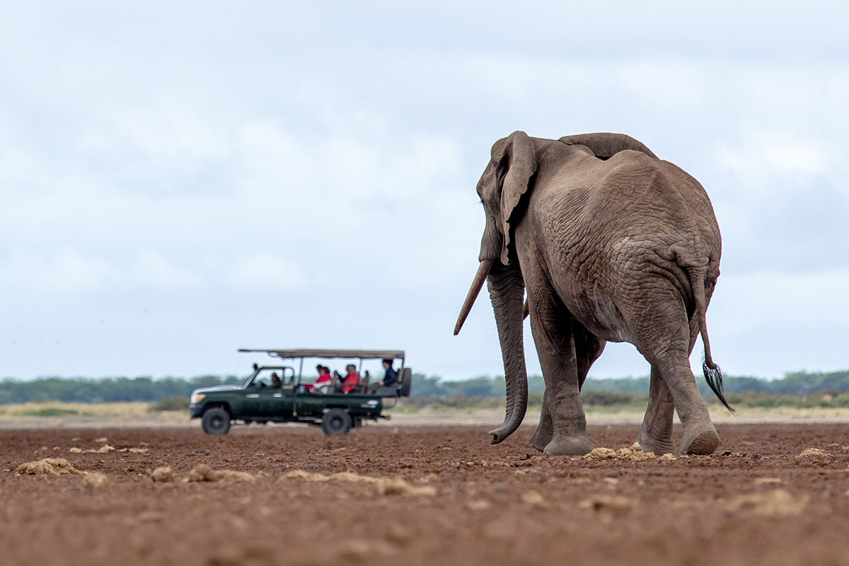 Big Life Foundation - SAFARIS CAN CHANGE THE WORLD