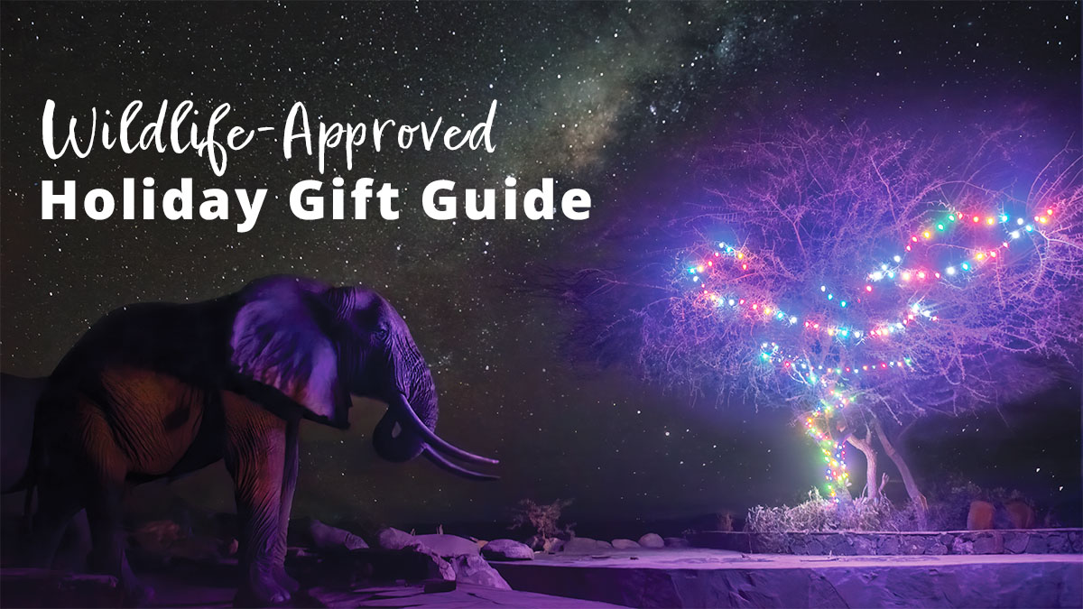 231116 Gift guide 2023 1