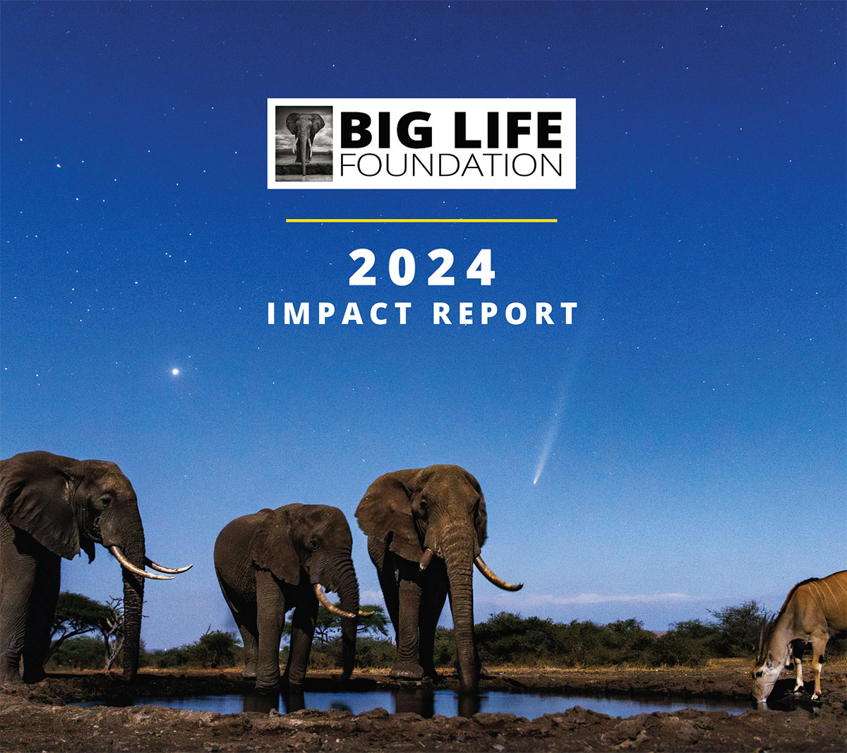 web cover BLF 2024 FINAL 20150502