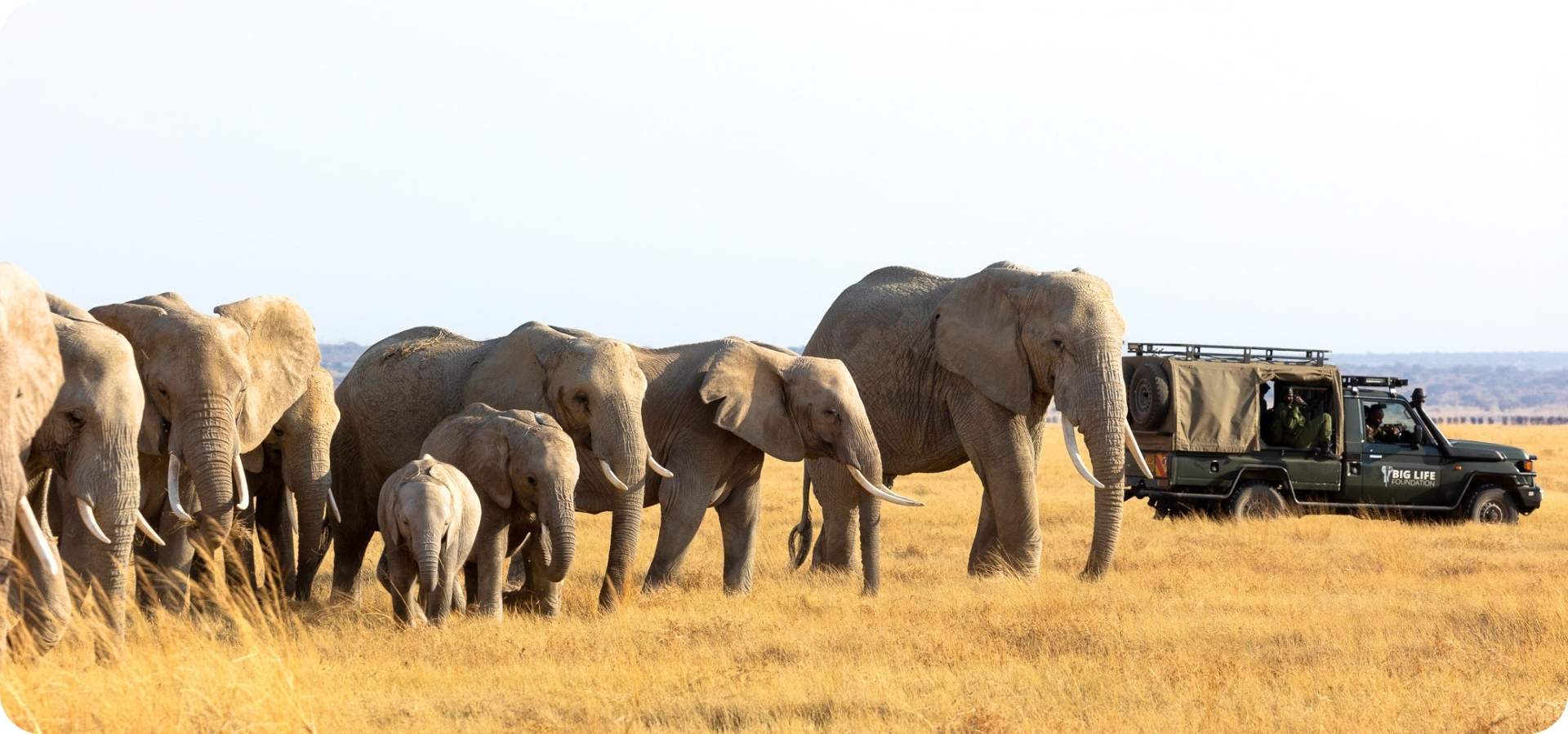 26 Email Day Without Danger header 3