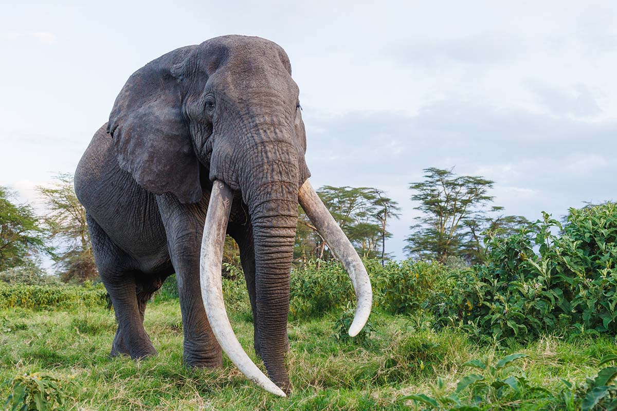 260113 Jeremy Goss B7A1771