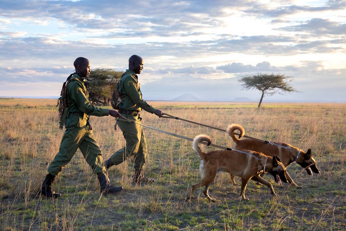 260324 tracker dog update