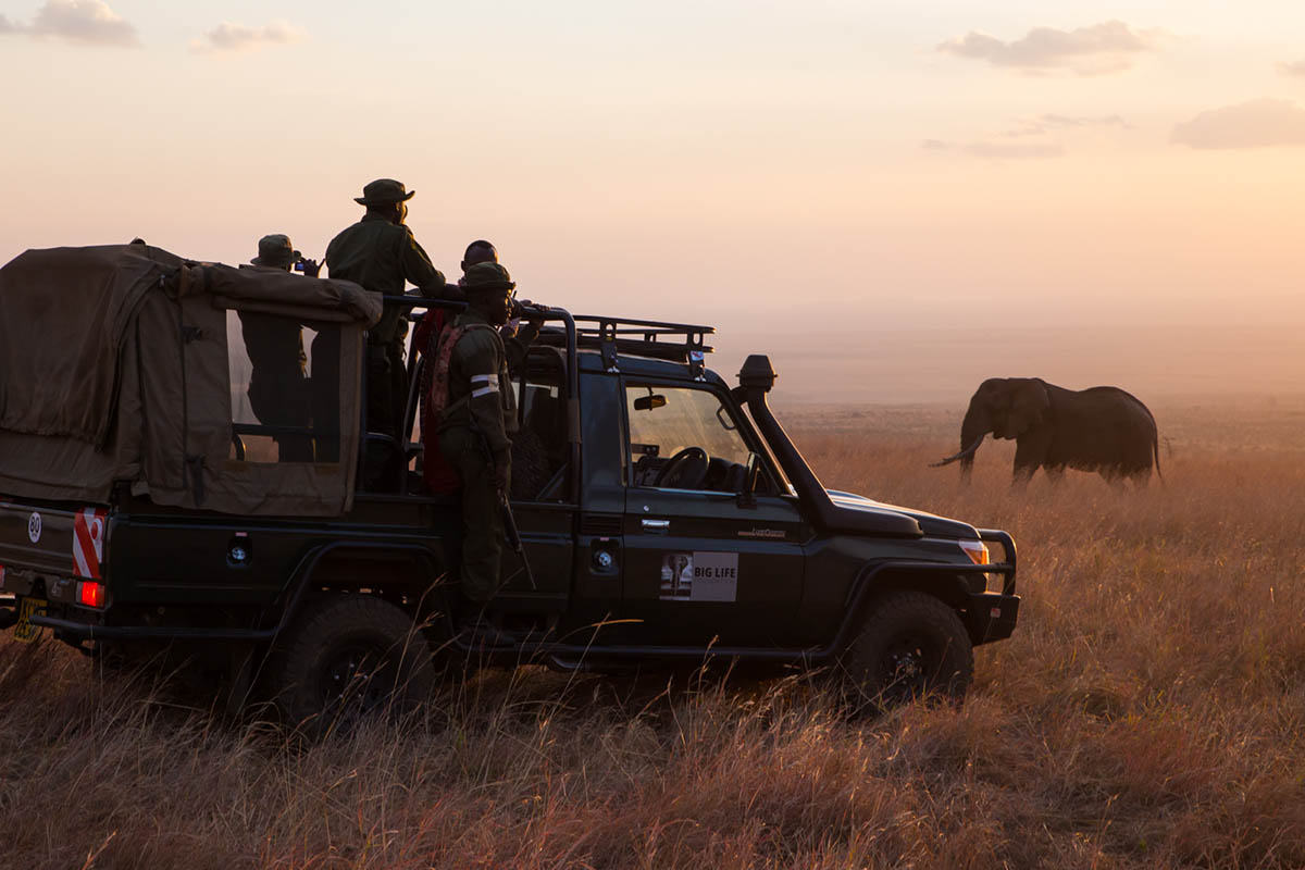 210122 big life rangers watch over elephants