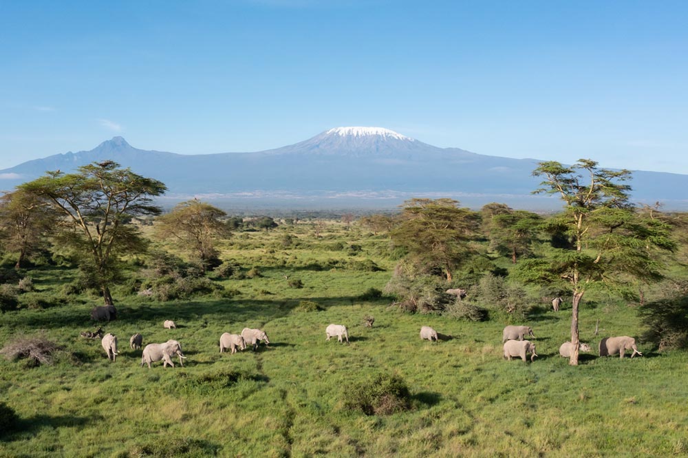 210930 elephants in kimana sanctuary 2