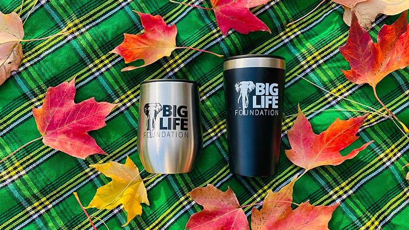 Insulated Tumbler, Gifts That Give Back