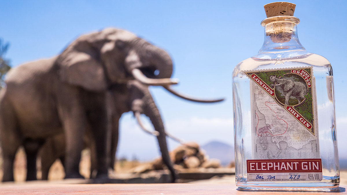 221115 elephant gin