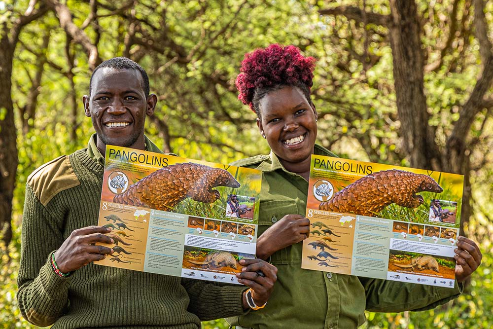 The Pangolin Project Rombo Training web