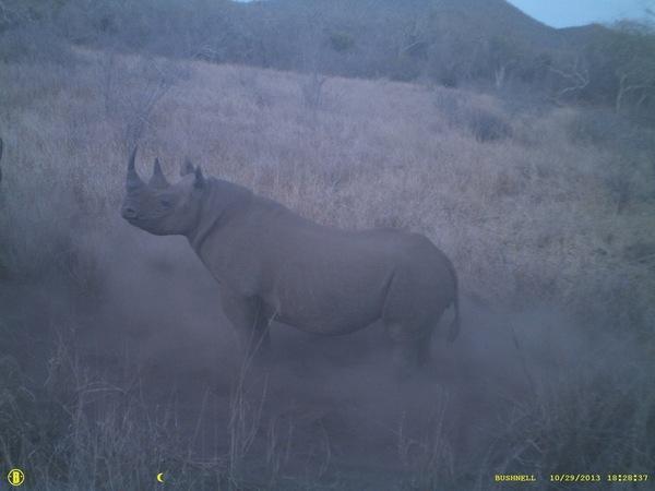 131220 1 1 Big Lifes Rhino Rangers Christmas Day