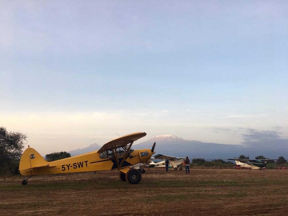 Aerial Census