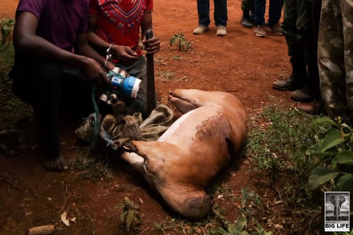 200401 poachers caught with bushmeat