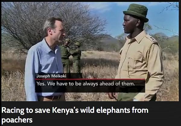 Big Life Foundation On Pbs Newshour Racing To Save Kenya's Wild Elephants From Poachers