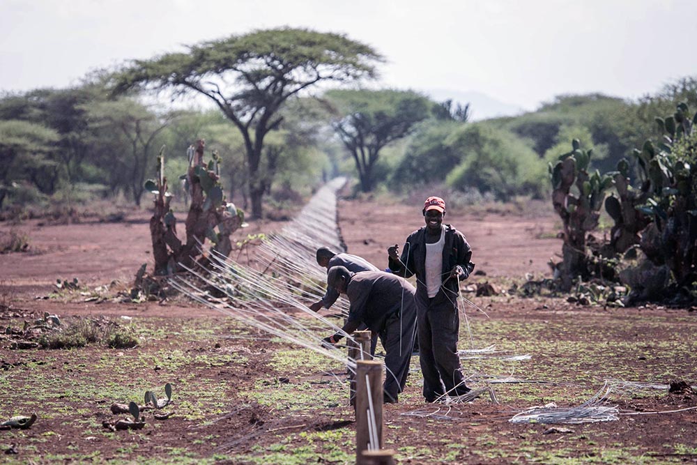 Human Wildlife Coexistence and the Future of Wildlife