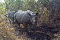 200922 world rhino day sm
