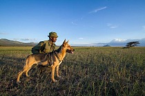 190710 Tracker Dog Didi and her fellow Ranger keep watch over East Africa