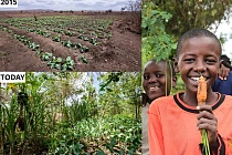 181125 Permaculture collage 