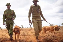 190726 Big Life Tracker dogs search for lost person