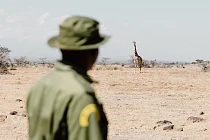 250718 PieAerts BigLife5