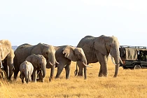 26 Email Day Without Danger header 3