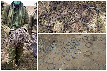 200729 big life rangers recover snares