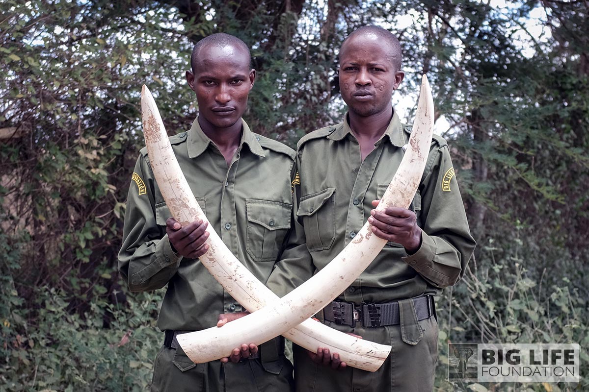 Wildlife Crime Anti-Trafficking